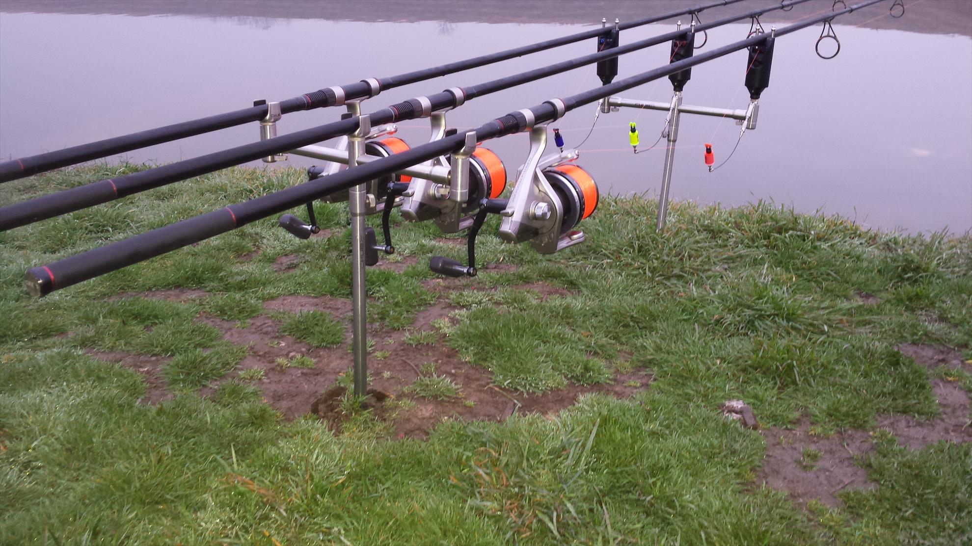 Fundulea 1 21 februarie 2016 - 20160221071328.jpg